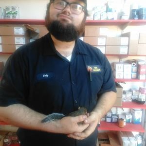 Meet your Posher, Cody